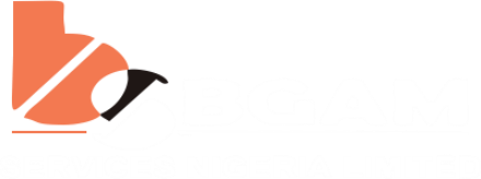 Bgam Services Nigeria Limited